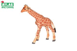 Obrázek z Žirafa mládě figurka 9cm 